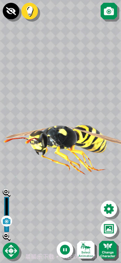 昆虫三维文件截图1 昆虫三维文件截图1