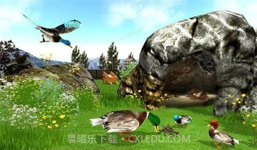 真正的鸭子3D截图5 真正的鸭子3D截图5