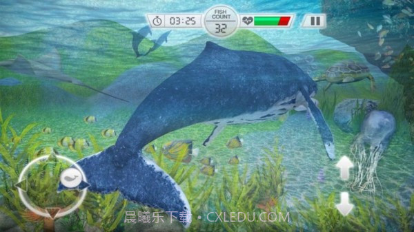 全民养鲨鱼截图3