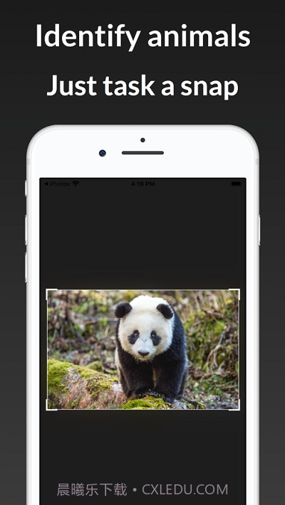 ianimal动物识别截图1