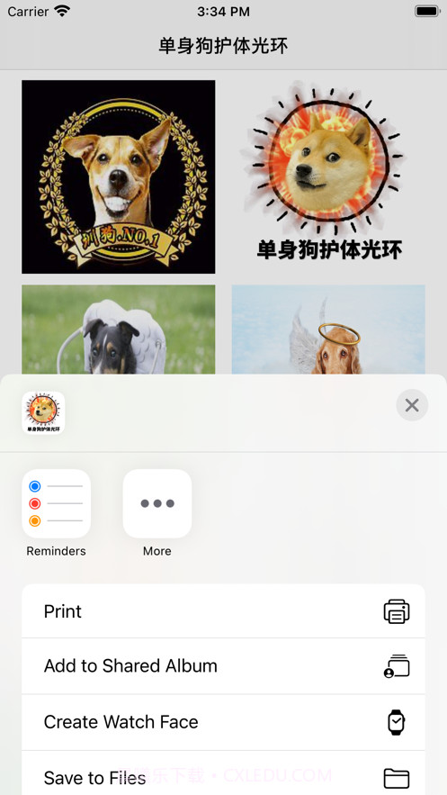 单身狗护体光环截图2 单身狗护体光环截图2