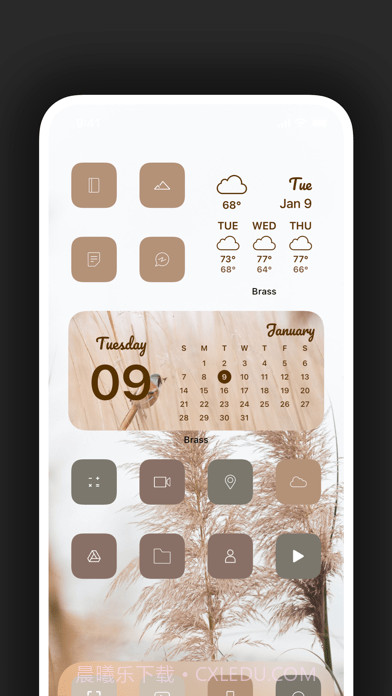 Bras截图10 Bras截图10