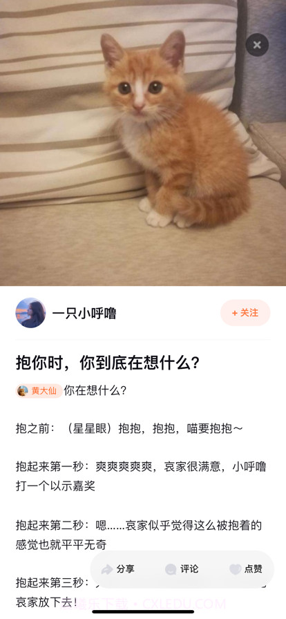 铲屎啦截图4 铲屎啦截图4