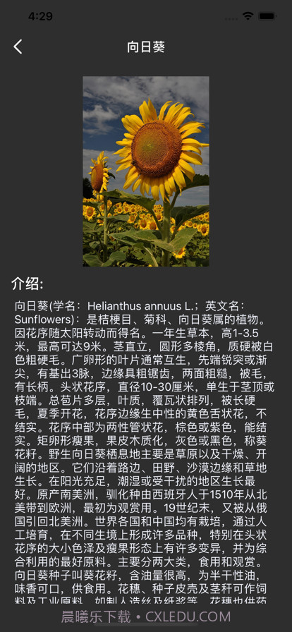 芸萱识图截图2 芸萱识图截图2