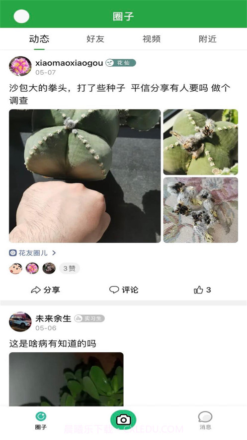 花草坑截图1