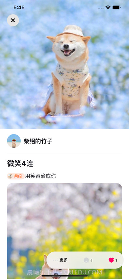 铲屎啦截图2 铲屎啦截图2