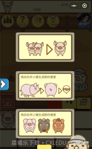 养猪大亨截图2 养猪大亨截图2