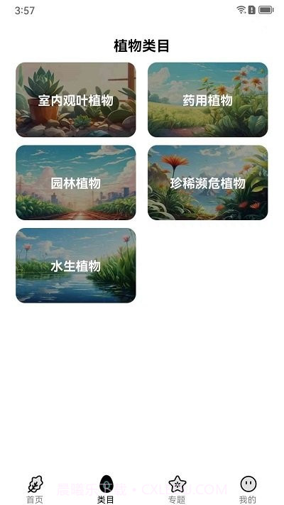 植界探索截图1 植界探索截图1