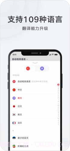 网易有道词典截图3
