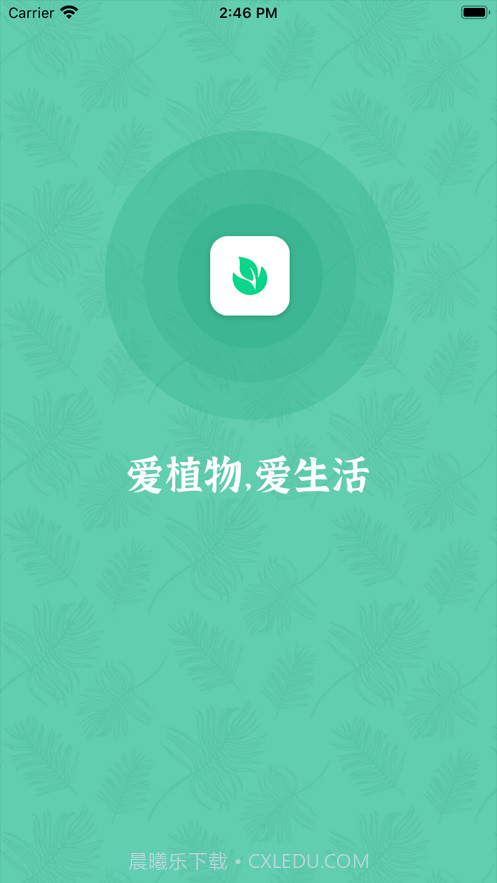口袋绿植截图1