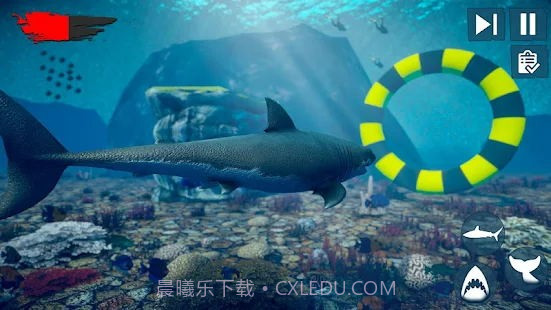 愤怒鲨鱼木筏生存截图2 愤怒鲨鱼木筏生存截图2