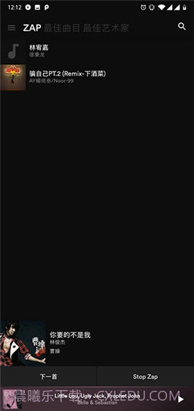 BlackPlayer EX下载(黑色音乐播放器)V20.49 中文解锁版截图1