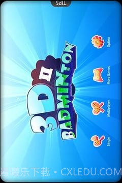 3D羽毛球II截图3