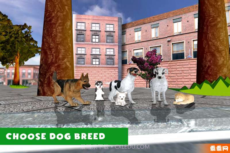 3D流浪狗模拟器截图1