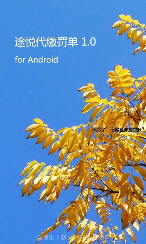 途悦违章查询截图1