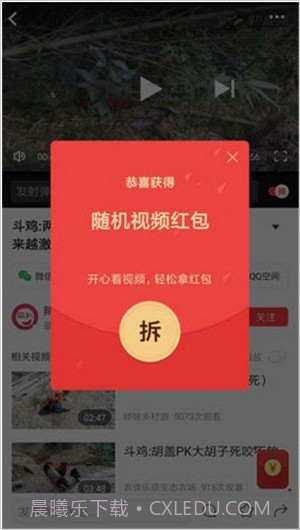 小黄蜂视频截图2