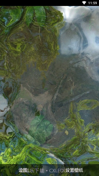 鱼池动态壁纸截图3 鱼池动态壁纸截图3