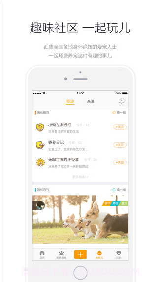 小狗在家-宠物寄养截图4