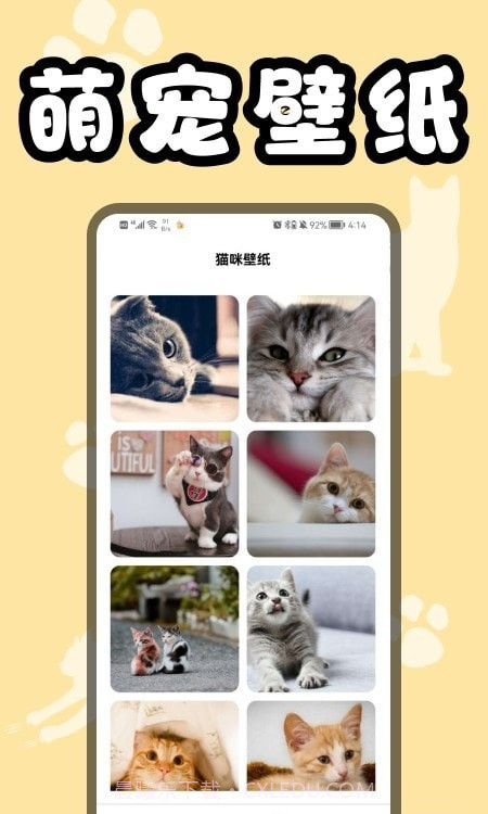 猫猫翻译器截图1 猫猫翻译器截图1