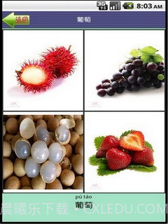 看图识字水果篇截图5 看图识字水果篇截图5