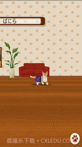 家有小狗截图3