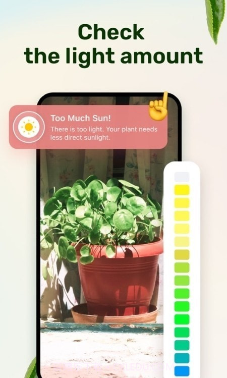 植物养护指南截图2