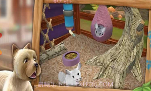 我的动物寄养所截图3