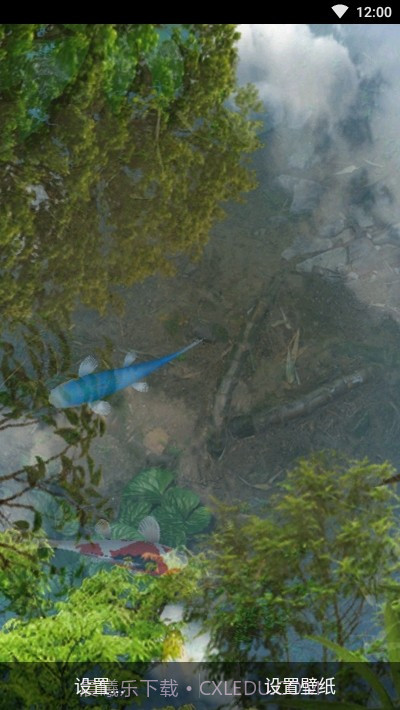 鱼池动态壁纸截图2 鱼池动态壁纸截图2