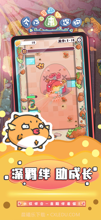 今日来遛狗截图2 今日来遛狗截图2