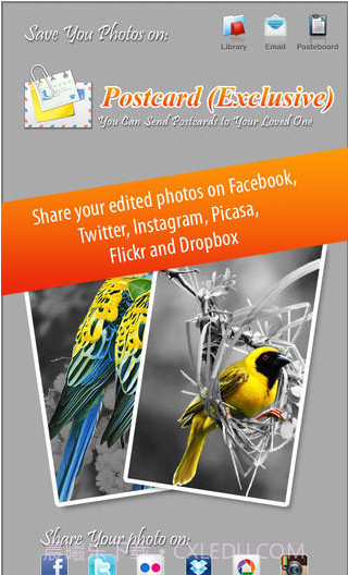 图片着色工具截图4