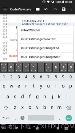 Quoda代码编辑器截图2