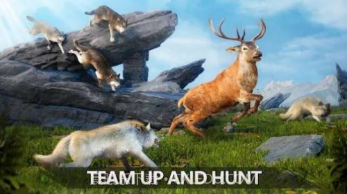 狼族崛起中文版截图3