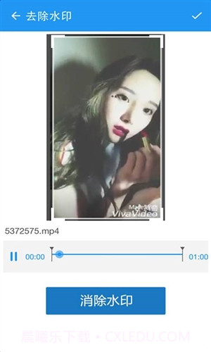 视频去水印截图4 视频去水印截图4