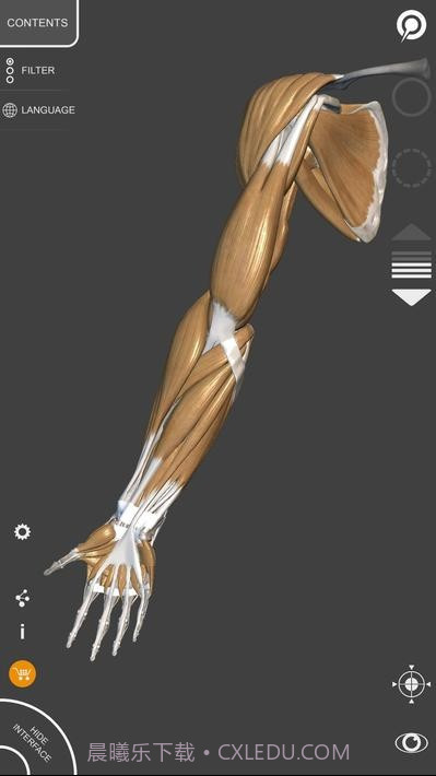 艺术家之3d解剖图截图3