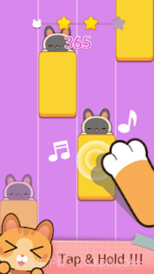 猫咪弹钢琴截图4