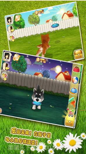 晴天小狗截图2 晴天小狗截图2