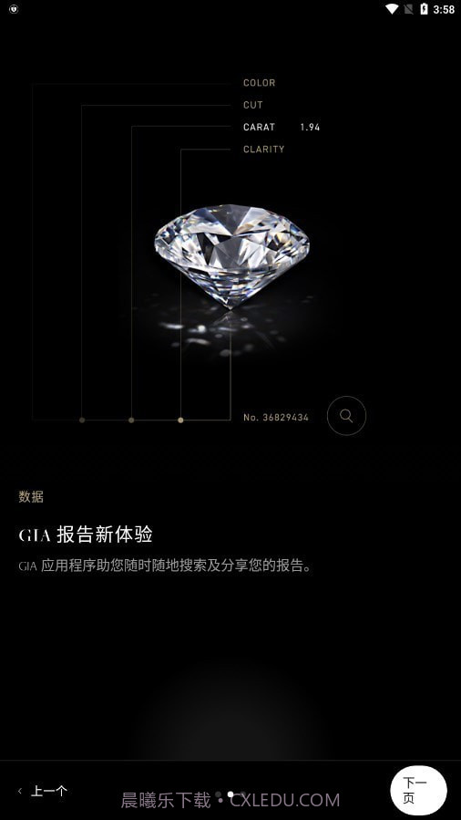GIA钻石截图2