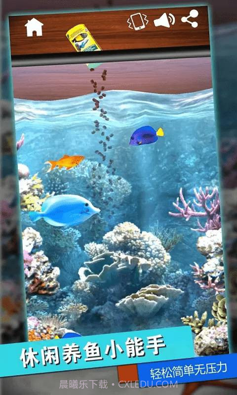 我是逻辑大师截图2 我是逻辑大师截图2