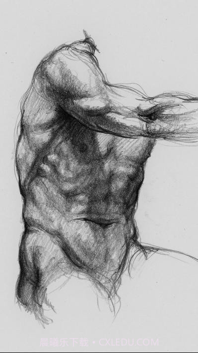 艺术家之3d解剖图截图5