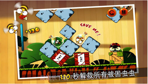 功夫宠虫截图4 功夫宠虫截图4