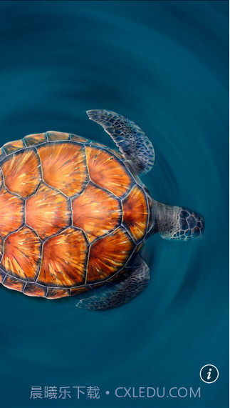 必应搜索截图3 必应搜索截图3