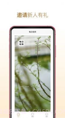 每日观照截图2 每日观照截图2