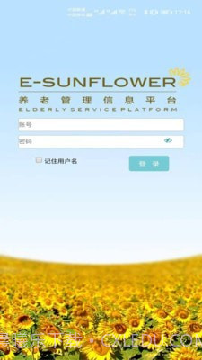 美丽花截图1 美丽花截图1