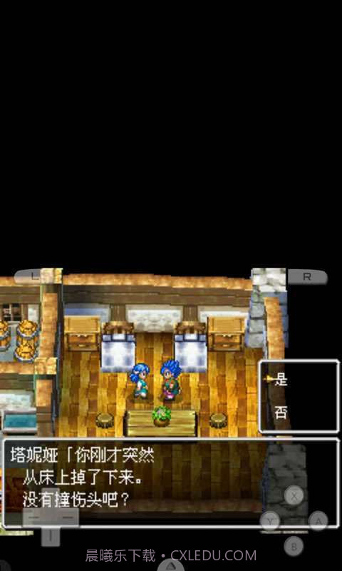 勇者斗恶龙6-幻之大地截图4