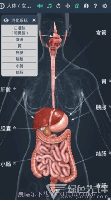 人体系统女性3D软件(专业3D人体结构)V1.1 安卓最新版截图1 人体系统女性3D软件(专业3D人体结构)V1.1 安卓最新版截图1