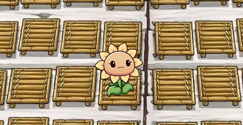 一株向日葵截图1 一株向日葵截图1