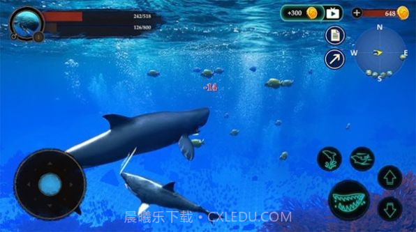 抹香鲸模拟器截图5