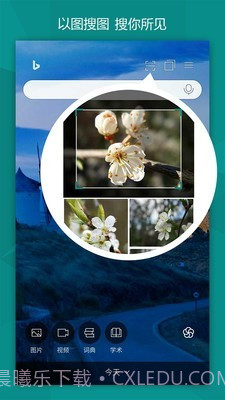 必应bing(Microsoft Bing)截图4 必应bing(Microsoft Bing)截图4