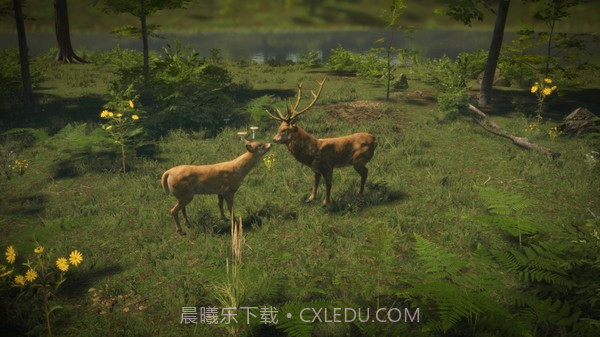 自然本能截图3 自然本能截图3