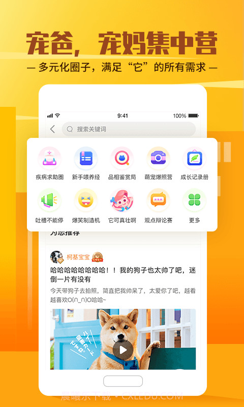 它嗅宠物截图2 它嗅宠物截图2